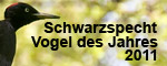 Schwarzspecht Vogel des Jahres 2011